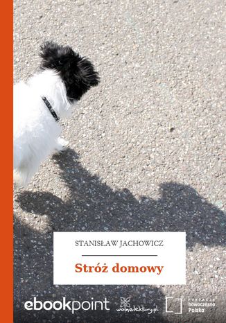 Str domowy Stanisaw Jachowicz - okadka ebooka