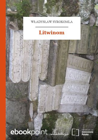 Litwinom Władysław Syrokomla - okładka ebooka