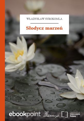 Sodycz marze Wadysaw Syrokomla - okadka ebooka