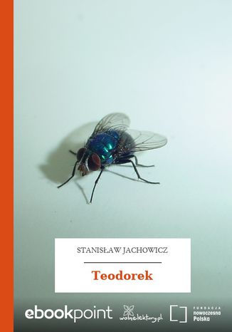 Teodorek Stanisaw Jachowicz - okadka ebooka