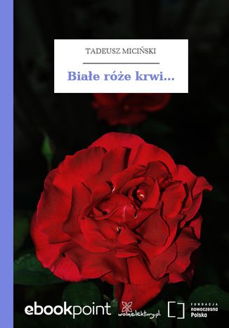 Biae re krwi Tadeusz Miciski - okadka audiobooks CD