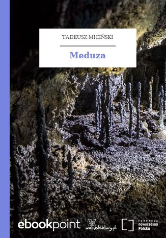 Meduza Tadeusz Miciski - okadka ebooka