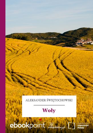 Woy Aleksander witochowski - okadka audiobooks CD