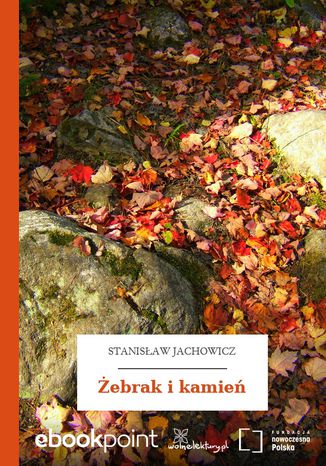 ebrak i kamie Stanisaw Jachowicz - okadka audiobooks CD