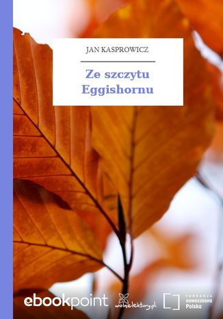 Ze szczytu Eggishornu Jan Kasprowicz - okadka ebooka