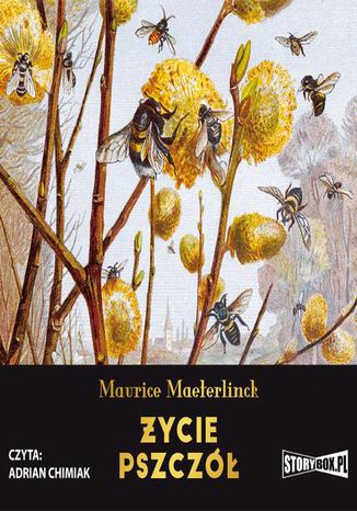 Życie pszczół Maurice Maeterlinck - okładka audiobooks CD