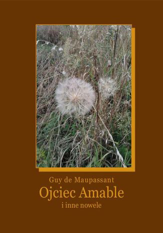 Okładka książki/ebooka Ojciec Amable