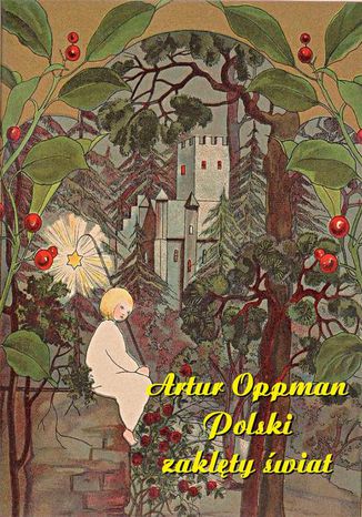 Okładka książki/ebooka Polski zaklęty świat