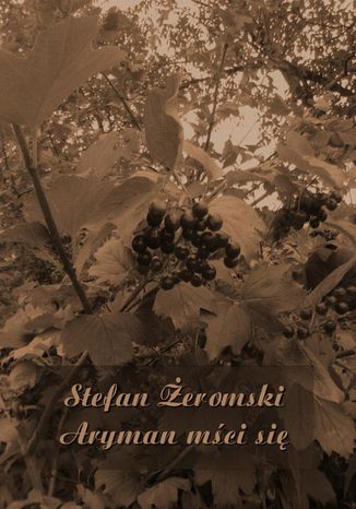 Okładka książki/ebooka Aryman mści się