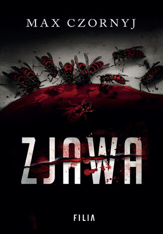 Zjawa. Seria z Erykiem Deryłą. Tom 6