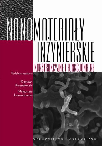 Nanomateriay inynierskie konstrukcyjne i funkcjonalne Magorzata Lewandowska, Krzysztof Kurzydowski Kurzydowski - okadka ebooka