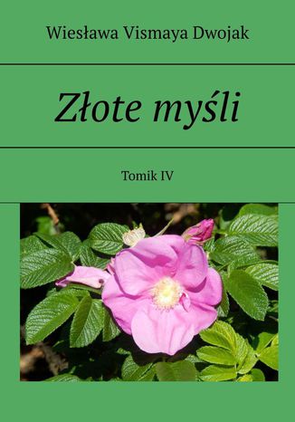 Zote myli. Tomik IV Wiesawa Vismaya Dwojak - okadka audiobooks CD