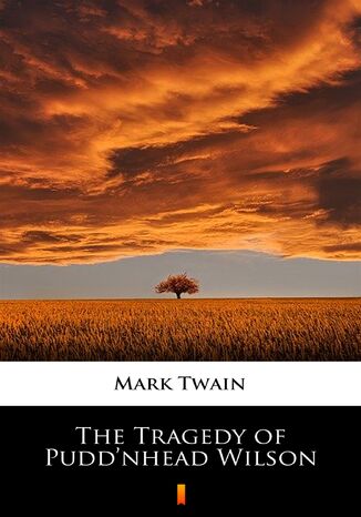The Tragedy of Puddnhead Wilson Mark Twain - okadka ebooka
