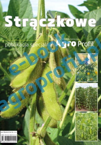 Strączkowe - bobik, groch, łubin, soja