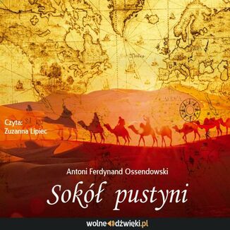 Okładka: Sokół Pustyni