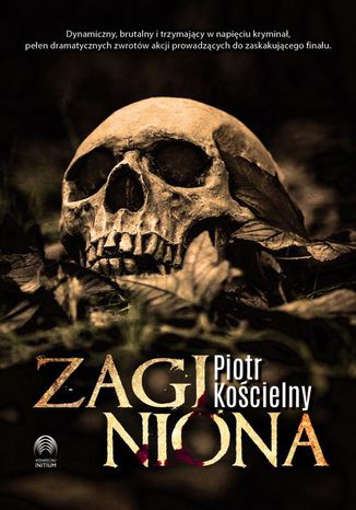 Okładka książki/ebooka Zaginiona