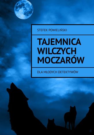Tajemnica Wilczych Moczarw Stefek Powieliski - okadka audiobooks CD