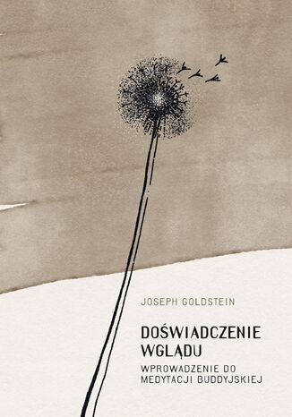 Dowiadczenie wgldu. Wprowadzenie do medytacji buddyjskiej Joseph Goldstein - okadka audiobooks CD