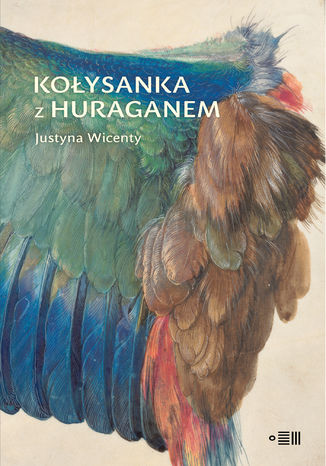 Koysanka z huraganem Justyna Wicenty - okadka audiobooka MP3