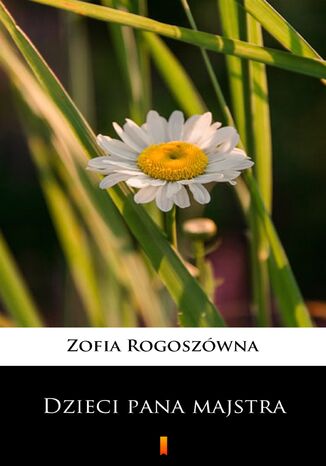 Dzieci pana majstra Zofia Rogoszwna - okadka audiobooks CD
