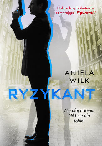 Ryzykant Aniela Wilk - okadka audiobooka MP3