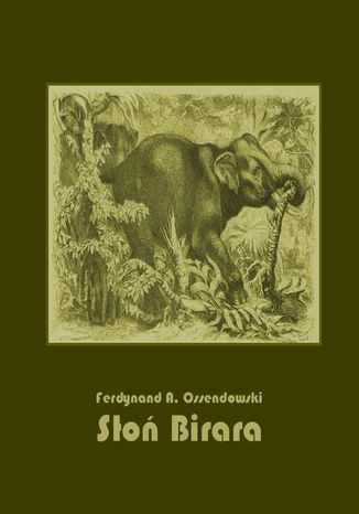 Okładka książki/ebooka Słoń Birara
