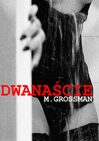 Dwanacie M. Grossman - okadka ebooka