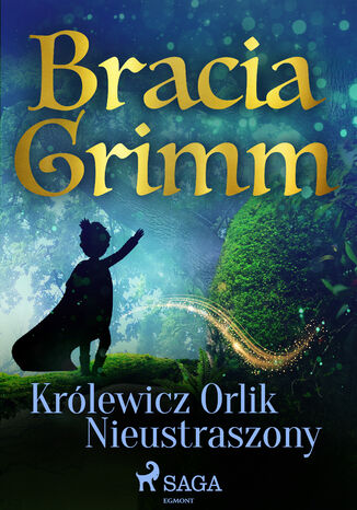 Banie Braci Grimm. Krlewicz Orlik Nieustraszony Bracia Grimm - okadka ebooka