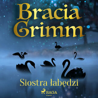 Banie Braci Grimm. Siostra abdzi Bracia Grimm - okadka audiobooka MP3