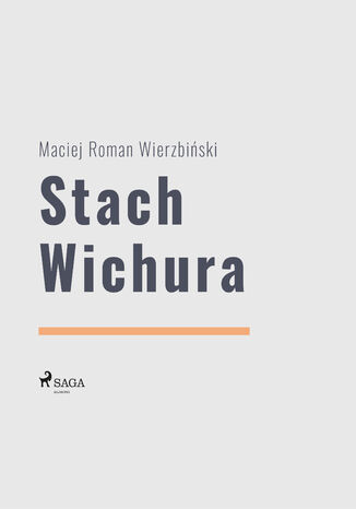 Stach Wichura Maciej Roman Wierzbiski - okadka ebooka