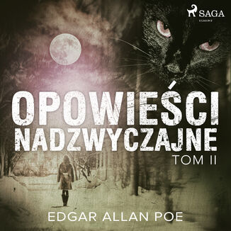 Opowieci nadzwyczajne - Tom II Edgar Allan Poe - okadka audiobooka MP3