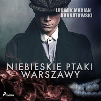 Niebieskie Ptaki Warszawy Ludwik Marian Kurnatowski - okadka audiobooka MP3