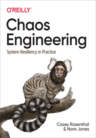 Chaos Engineering. System Resiliency in Practice