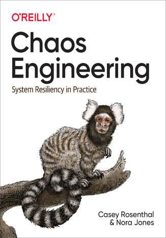 Chaos Engineering. System Resiliency in Practice Casey Rosenthal, Nora Jones - okadka audiobooka MP3