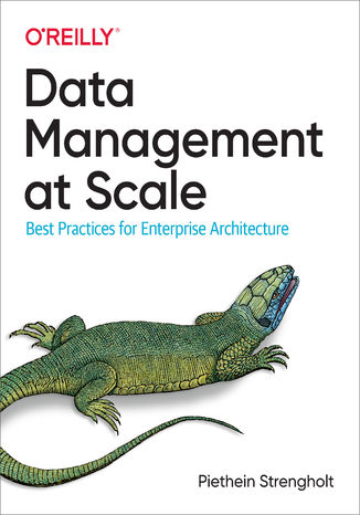 Data Management at Scale Piethein Strengholt - okadka audiobooks CD