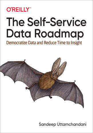 The Self-Service Data Roadmap Sandeep Uttamchandani - okadka ebooka