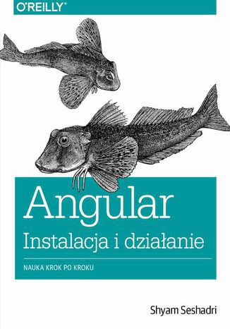 Okładka książki Angular instalacja i działanie