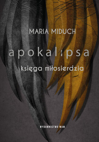 Apokalipsa Ksiga miosierdzia. Ksiga miosierdzia Maria Elbieta Miduch - okadka audiobooks CD