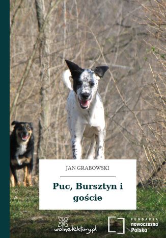Puc, Bursztyn i gocie Jan Grabowski - okadka ebooka