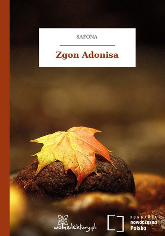 Zgon Adonisa Safona - okadka audiobooks CD