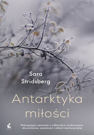 Okładka: Antarktyka miłości