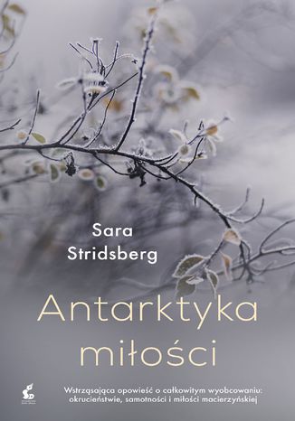 Antarktyka mioci Sara Stridsberg - okadka ebooka