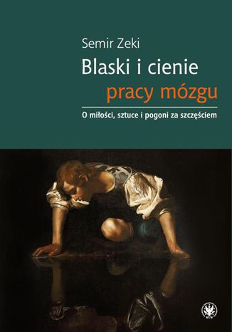 Blaski i cienie pracy mzgu Semir Zeki - okadka audiobooka MP3