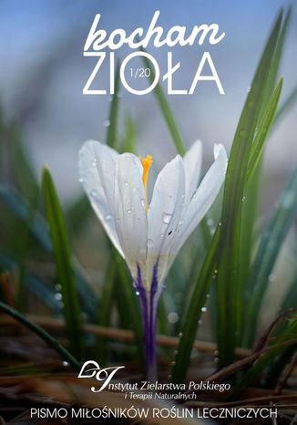 Kocham Zioa 1/2020 Instytut Zielarstwa Polskiego iTerapii Naturalnych - okadka ebooka