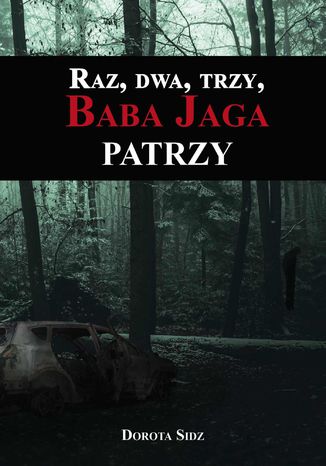 Raz, dwa, trzy, Baba Jaga patrzy Dorota Sidz - okadka audiobooka MP3