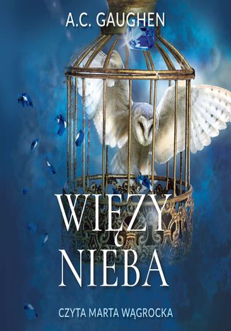 Żywioły. Więzy nieba. Tom 2