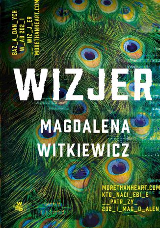 Wizjer Magdalena Witkiewicz - okadka audiobooka MP3