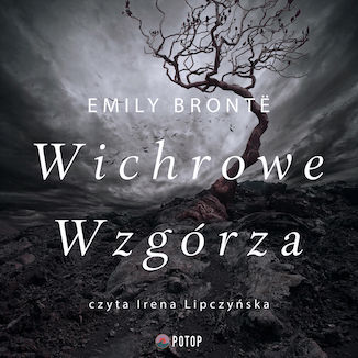 Wichrowe Wzgrza Emily Jane Bronte - okadka audiobooka MP3