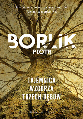Tajemnica Wzgrza Trzech Dbw Piotr Borlik - okadka audiobooks CD