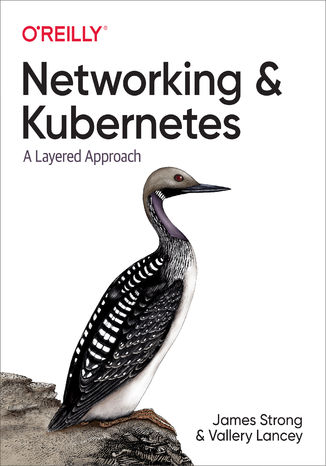Networking and Kubernetes James Strong, Vallery Lancey - okładka książki